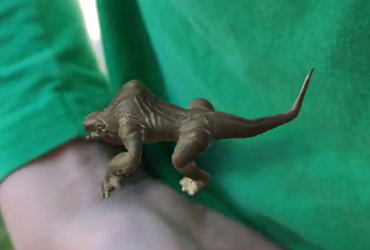 Nadgrajena resničnost in novi mediji, 8+