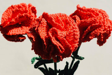 Kvačkanje z Nino, 15+