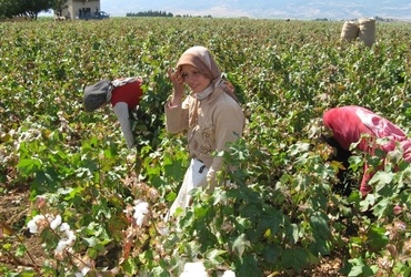 Alen Ištoković: Sirija - zibelka civilizacije