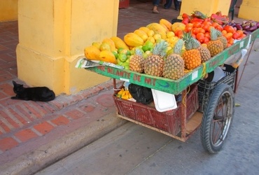 Katja Čuk in Hernan A. Cuero: Kolumbija - plesoče predavanje