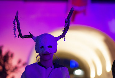 Pust Vetrinjski, za vse generacije