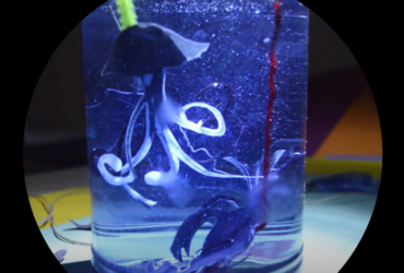 Gledališka delavnica za otroke, 5+