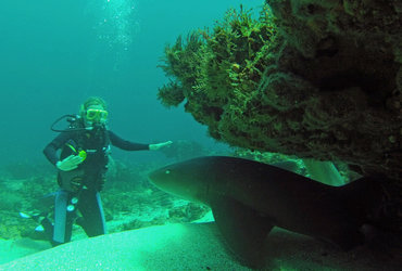 KAM Z MULCEM: Mateja Mazgan: TRINIDAD IN TOBAGO
