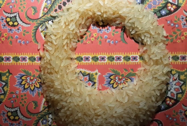 Delavnica animiranega filma za otroke od 10. do 14. leta starosti