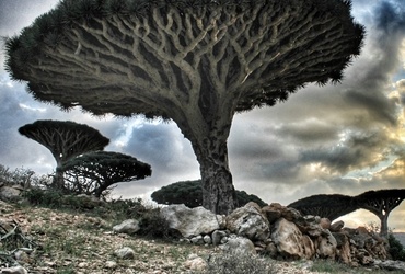 Marijana Panić: Jemen in Oman