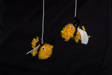 SOBOTA ZA DRUŽBO: DAN ZA ČEBELE