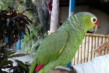 Sonja Gračanić: Kostarika in Nikaragva