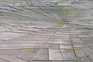 Divja stran manj poznane Indonezije