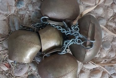 Pustna praznovanja SloVesne domačije