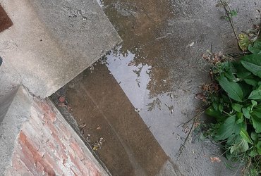 InteresniSafari / Mimo bistva