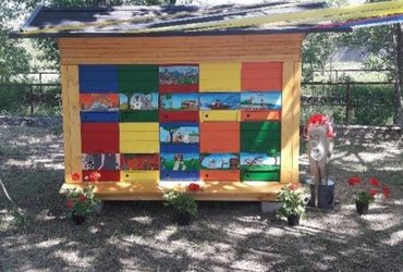 (Fl)etno: Čebele in urbano čebelarstvo