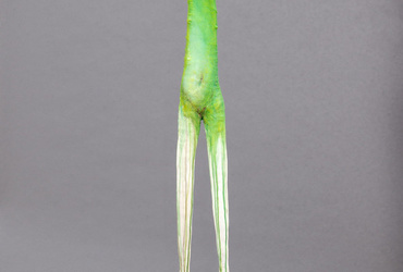 MARIJAN MIRT: Odprta študija / Odprti studio <em>Foto: ©Marijan Mirt</em>