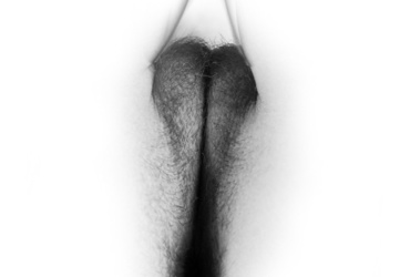 TNT- Telo Naš T…. <em>Foto: Maja Šivec</em>