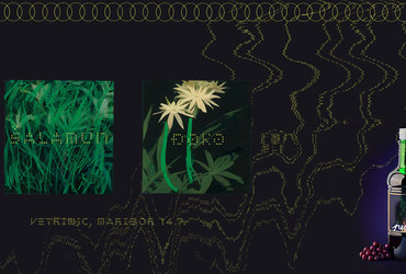 PELIN: šalamun + Đoko