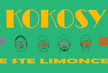 KOKOSY ◊ MARIBOR