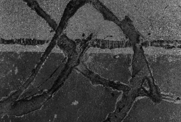 Beton <em>Foto: Humanitarček - društvo za promocijo humanitarne dejavnosti</em>