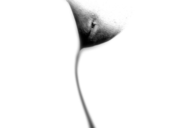 TNT- Telo Naš T…. <em>Foto: Maja Šivec</em>