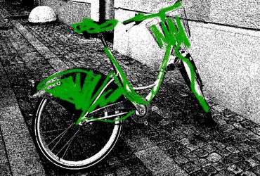 Asja Trost: ZELENI MODEL