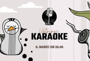 Karaoke v Vetrinjcu