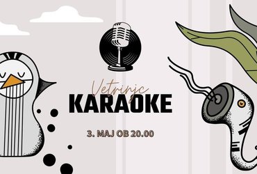 Karaoke v Vetrinjcu