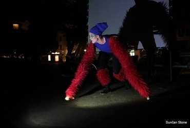 ANA MRZLA: IME MI JE VIDA