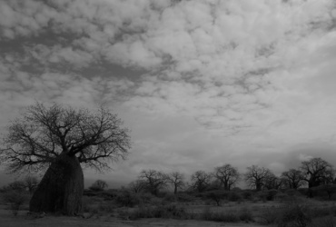 Senad Osmanaj: Moja Afrika