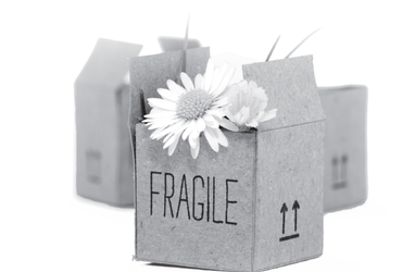 Predstavitev knjige Pobalinka (Tonja Jelen)