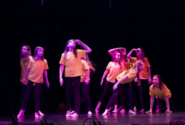 Čmrljonavti <em>Foto: Carmina Slovenica</em>