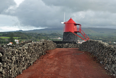 Mateja Mazgan: Azori