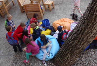 Kako zorijo ježevci in Ropotarna 