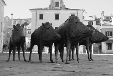 Marijan Mirt: A smo že tam?