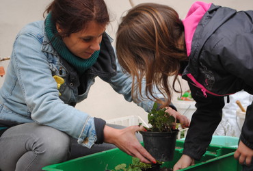 Čitalnica na dvorišču: Slovenski dnevi knjige v Mariboru