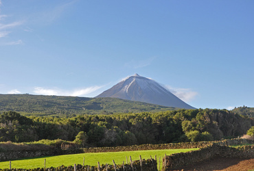 Mateja Mazgan: Azori