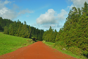 Mateja Mazgan: Azori