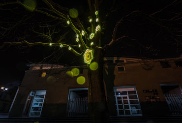 VODENJE PO LUMINI IN SVETLOBNE DELAVNICE 