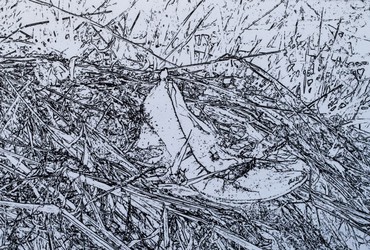 Grafična pomlad <em>Foto: Društvo Hiša!</em>