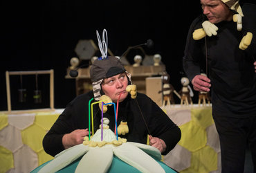 SOBOTA ZA DRUŽBO: DAN ZA ČEBELE