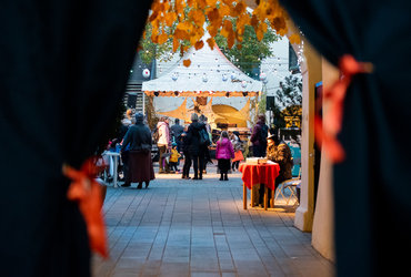 Fletna noč čarovnic <em>Foto: Gregor Salobir (iz arhiva Zavoda Mars</em>