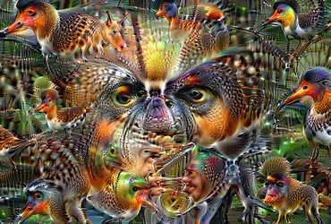 Projekcije: Tekmovanje Borderlands