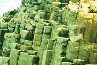 Slavica Tovšak: Zelena Irska