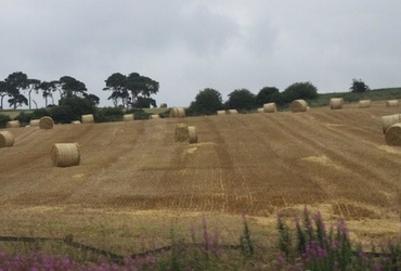 Slavica Tovšak: Zelena Irska