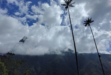 Katja Čuk in Hernan A. Cuero: Kolumbija - plesoče predavanje