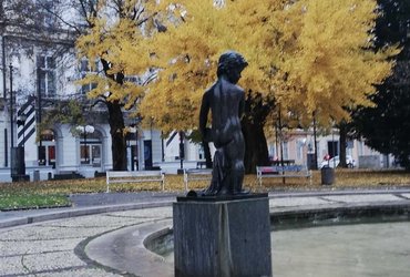 Izjemna drevesa v mestnih parkih Maribora