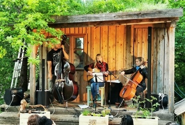 VRTNI KAVČ FESTIVAL! 