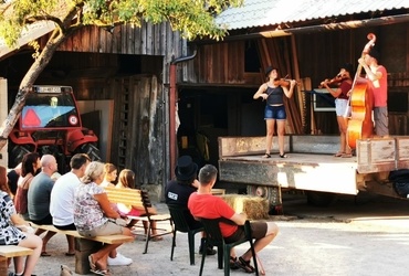 VRTNI KAVČ FESTIVAL! 