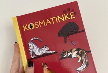 KOSMATINKE