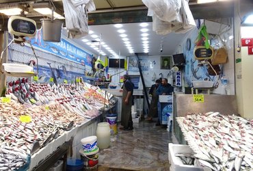 BIZANC, KONSTANTINOPEL, CARIGRAD - VSE TO JE ISTANBUL!