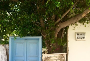 Sara Kohne: Moje Življenje v Izraelu <em>Foto: Sara Kohne</em>