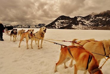 DELO IN ŽIVLJENJE NA KRIŽARKI
