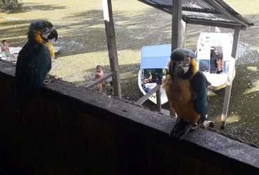 KOLUMBIJA - KARIBSKA OBALA IN AMAZONIJA